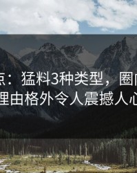 电鸽盘点：猛料3种类型，圈内人上榜理由格外令人震撼人心