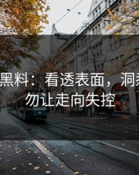 凌晨的黑料：看透表面，洞悉细节，勿让走向失控