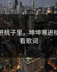 坤坤寒进桃子里，坤坤寒进桃子里在看歌词