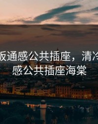 清冷老板通感公共插座，清冷老板通感公共插座海棠