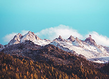 今天： 黑料万里长征首页黑料传播很猛： 但关键线索缺了这一环