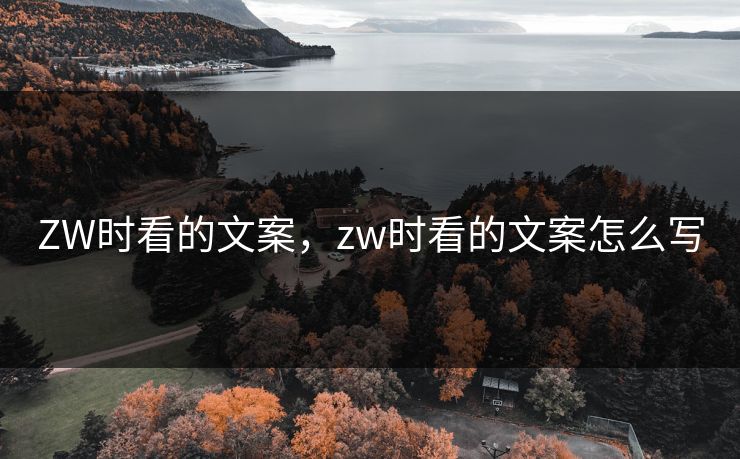 ZW时看的文案，zw时看的文案怎么写