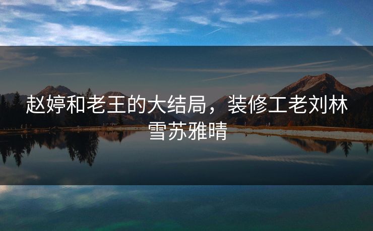 赵婷和老王的大结局，装修工老刘林雪苏雅晴