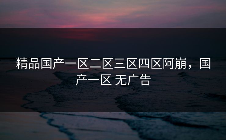 精品国产一区二区三区四区阿崩，国产一区 无广告