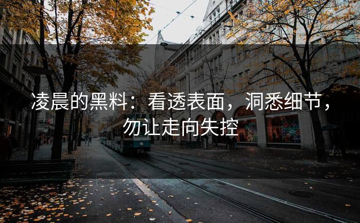 凌晨的黑料：看透表面，洞悉细节，勿让走向失控